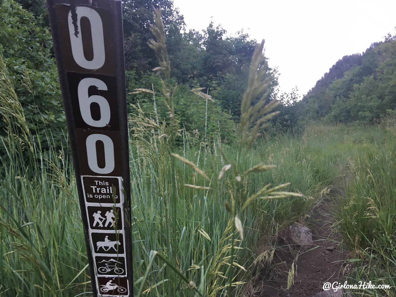 Hiking to Cascade Peak, Utah, Hiking the Wasatch 7 Peaks, Utah Peak Baggers, Wasatch Peak Baggers