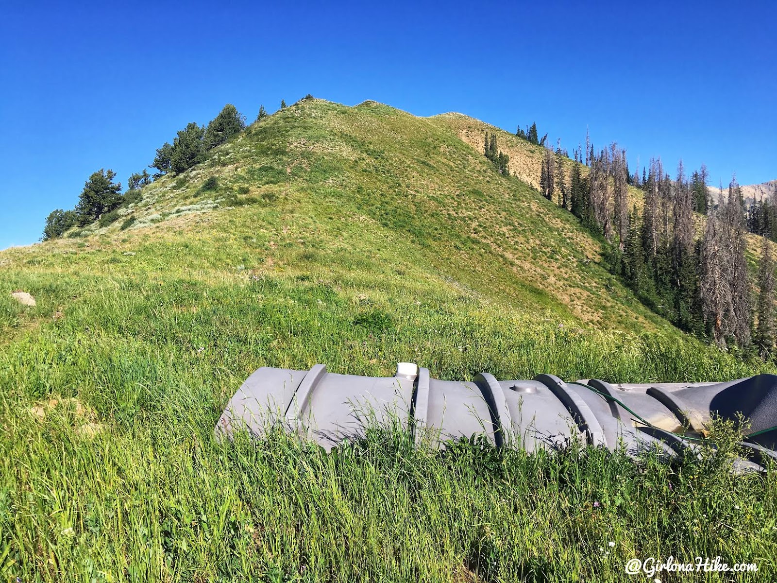 Hiking to Cascade Peak, Utah, Hiking the Wasatch 7 Peaks, Utah Peak Baggers, Wasatch Peak Baggers