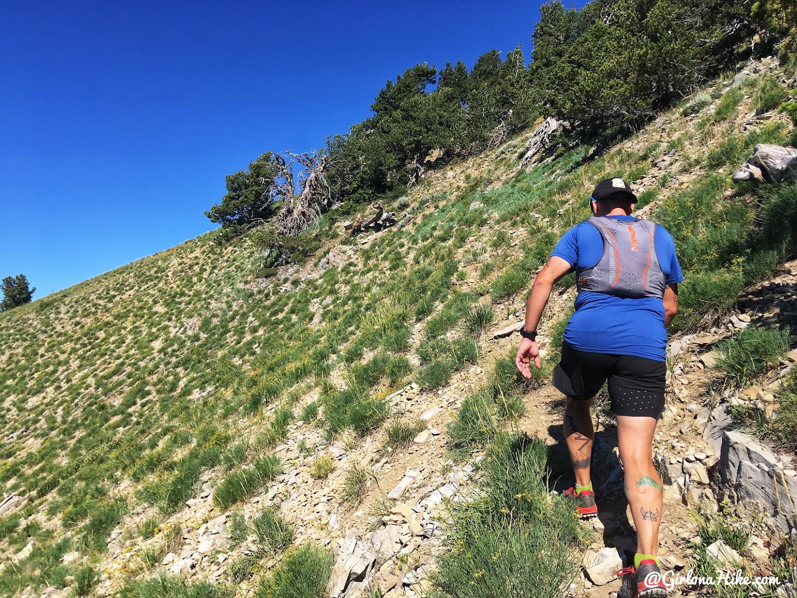 Hiking to Cascade Peak, Utah, Hiking the Wasatch 7 Peaks, Utah Peak Baggers, Wasatch Peak Baggers