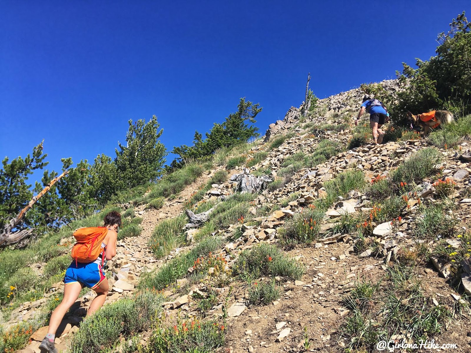 Hiking to Cascade Peak, Utah, Hiking the Wasatch 7 Peaks, Utah Peak Baggers, Wasatch Peak Baggers