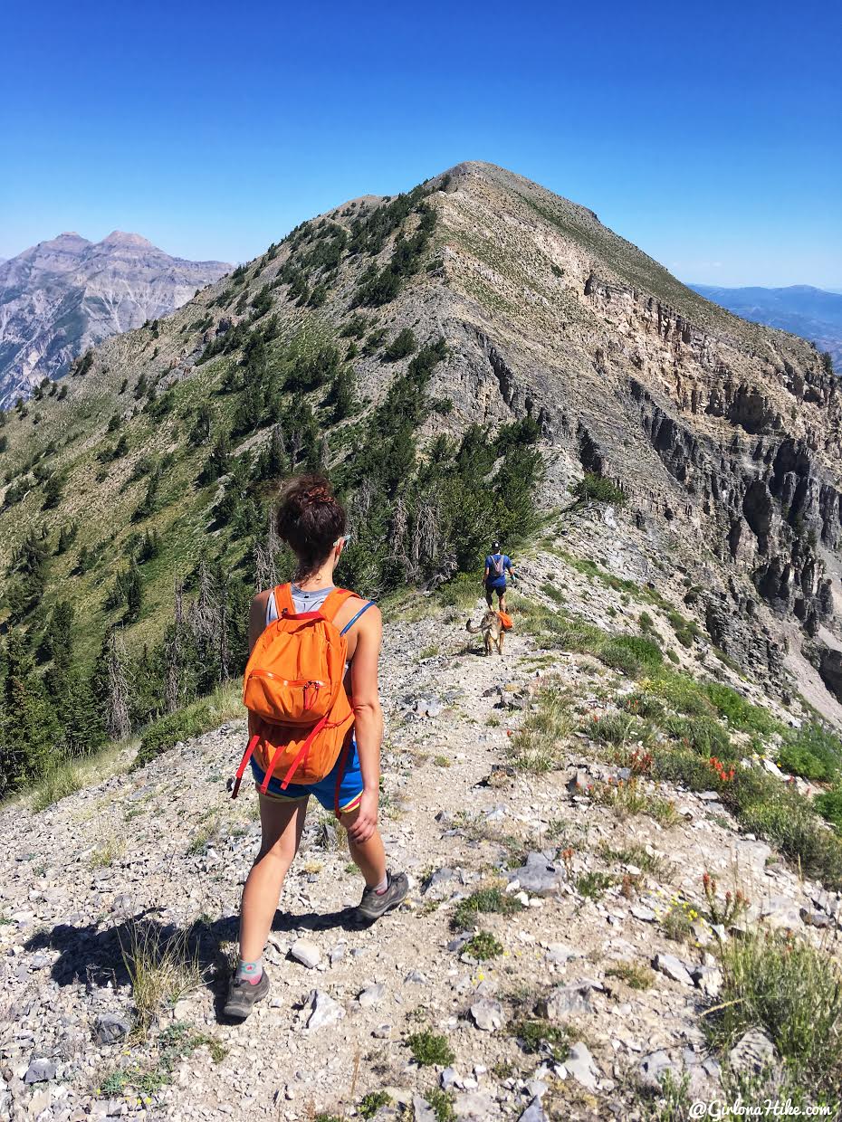 Hiking to Cascade Peak, Utah, Hiking the Wasatch 7 Peaks, Utah Peak Baggers, Wasatch Peak Baggers