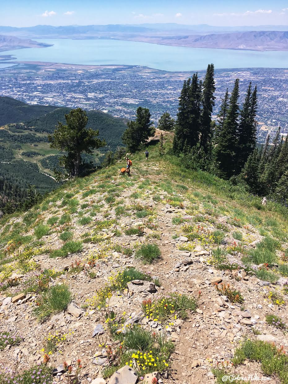 Hiking to Cascade Peak, Utah, Hiking the Wasatch 7 Peaks, Utah Peak Baggers, Wasatch Peak Baggers