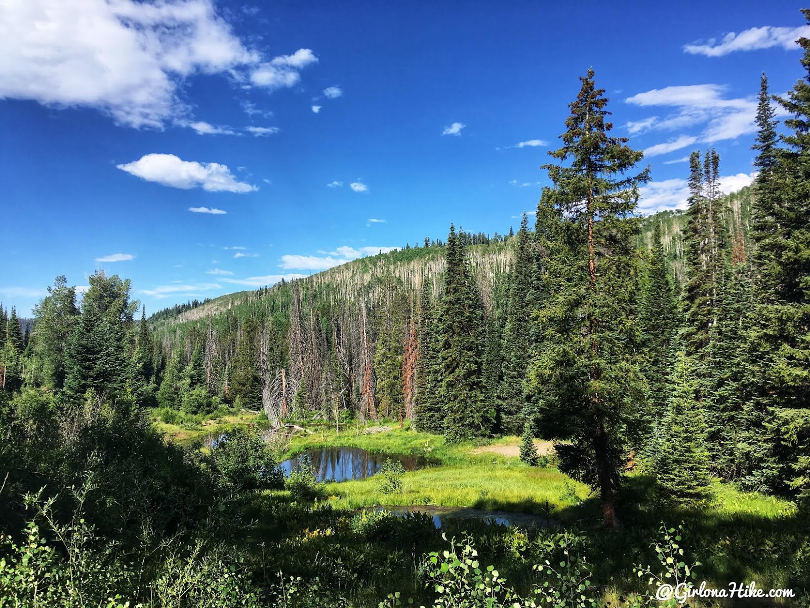 Backpacking the Shingle Creek Trail, Uintas