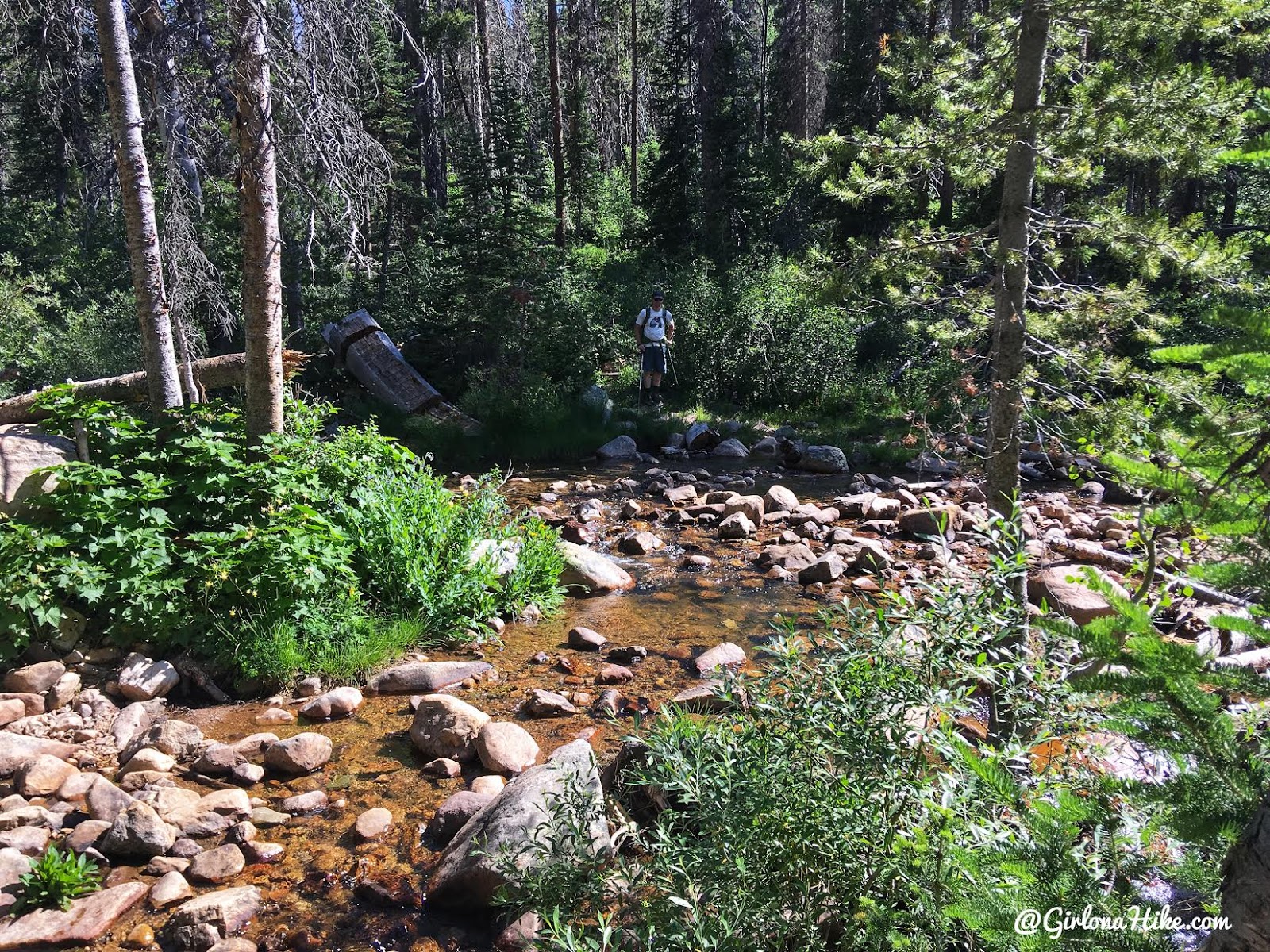 Backpacking the Shingle Creek Trail, Uintas