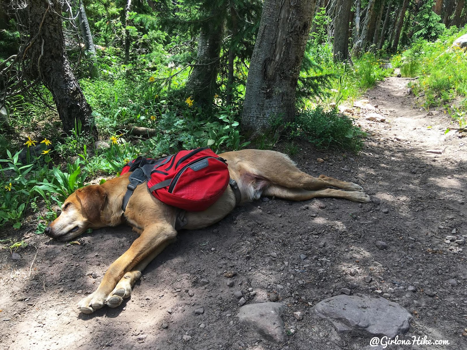 Backpacking the Shingle Creek Trail, Uintas