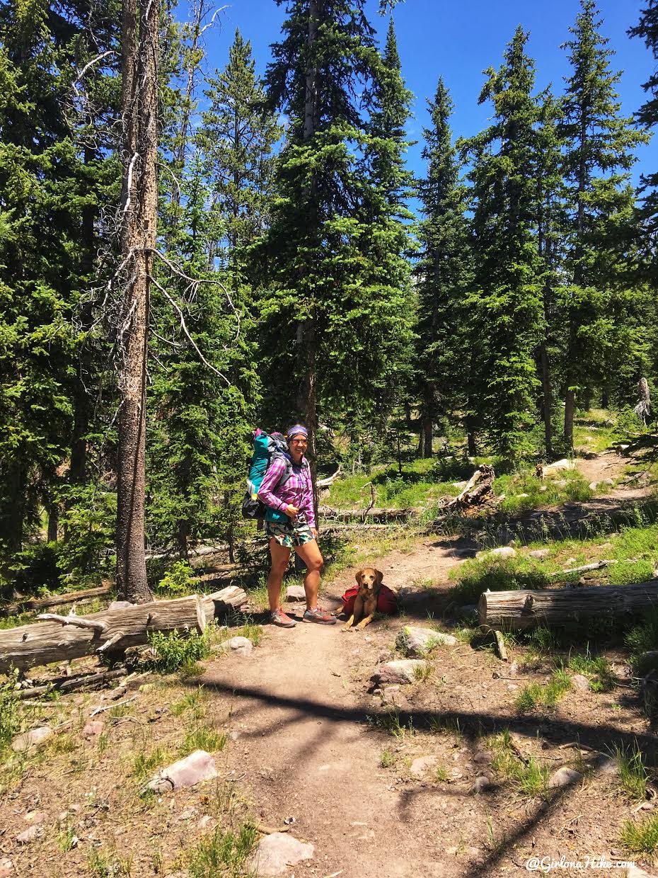 Backpacking the Shingle Creek Trail, Uintas