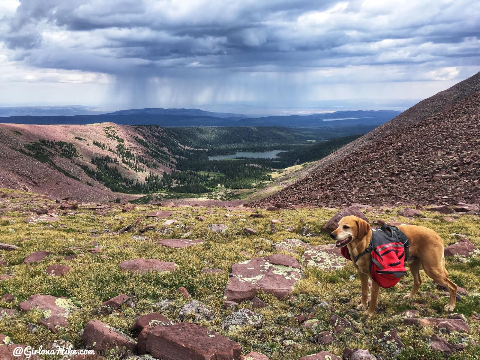 Hiking to Eccentric Benchmark, Uintah/Dagget County High Point