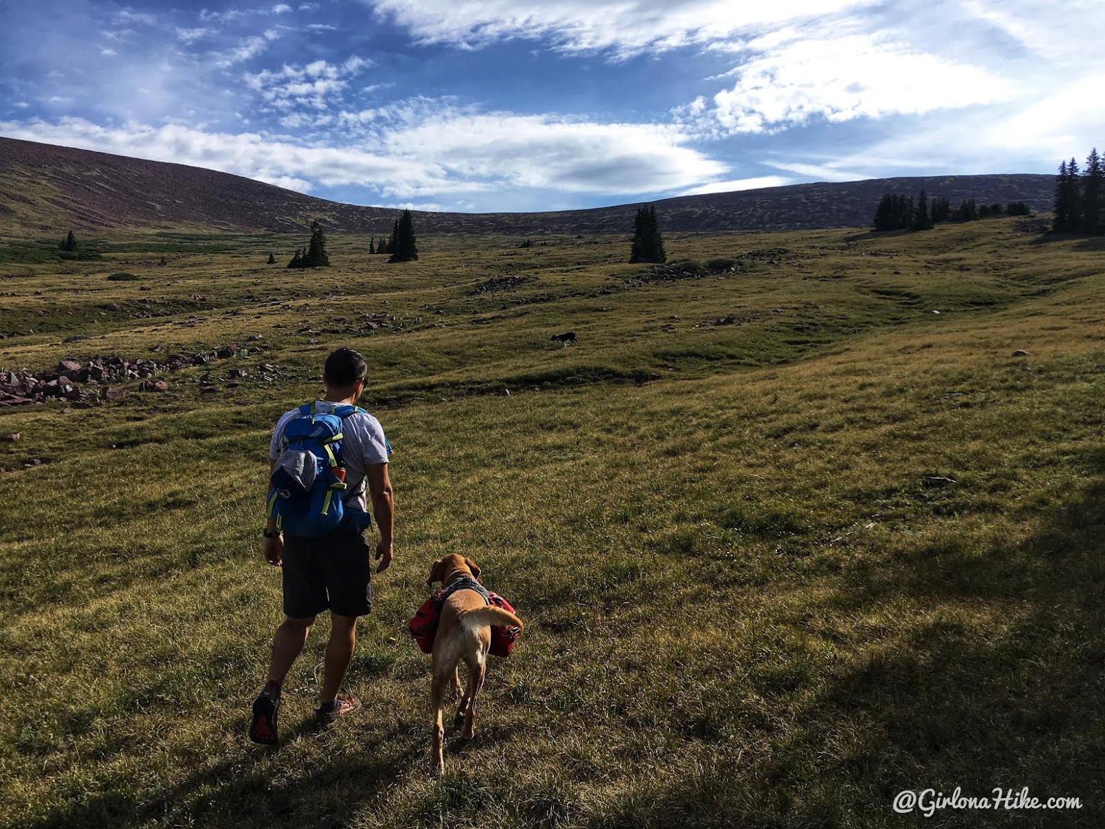 Hiking to Eccentric Benchmark, Uintah/Dagget County High Point