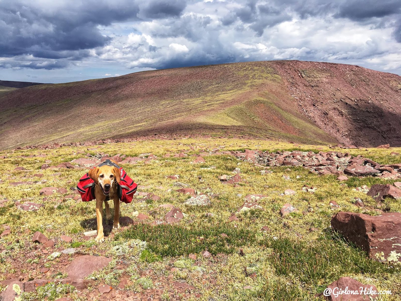 Hiking to Eccentric Benchmark, Uintah/Dagget County High Point