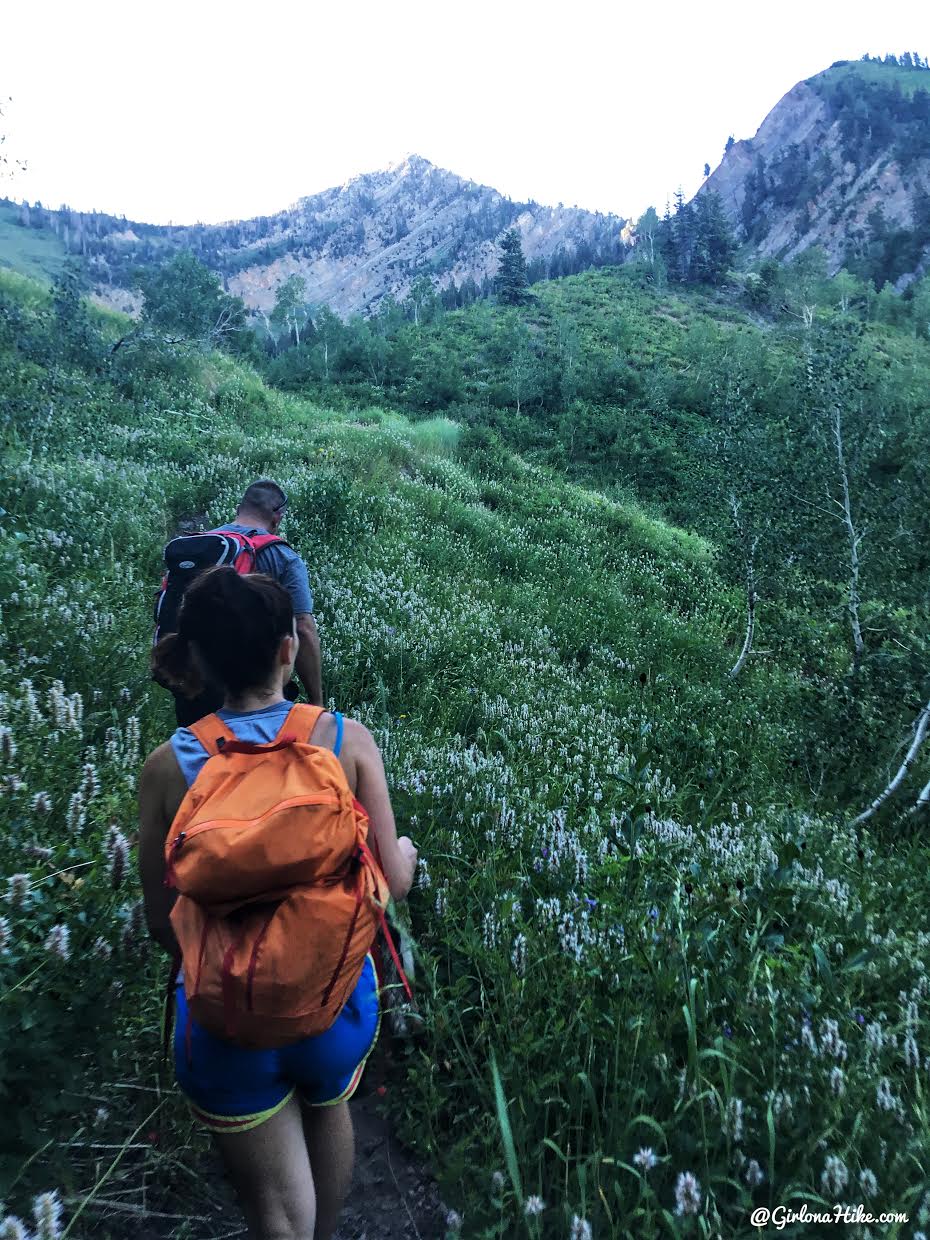 Hiking to Cascade Peak, Utah, Hiking the Wasatch 7 Peaks, Utah Peak Baggers, Wasatch Peak Baggers