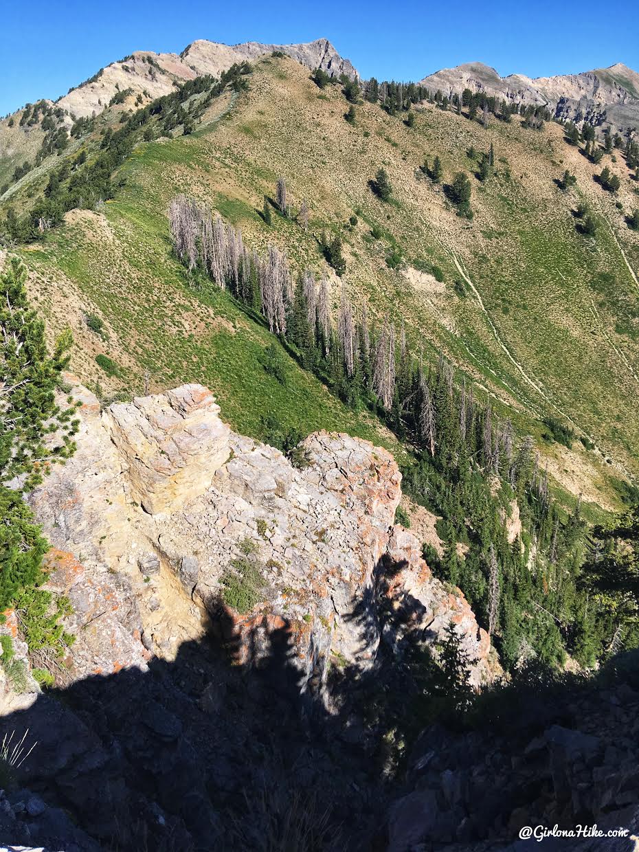 Hiking to Cascade Peak, Utah, Hiking the Wasatch 7 Peaks, Utah Peak Baggers, Wasatch Peak Baggers