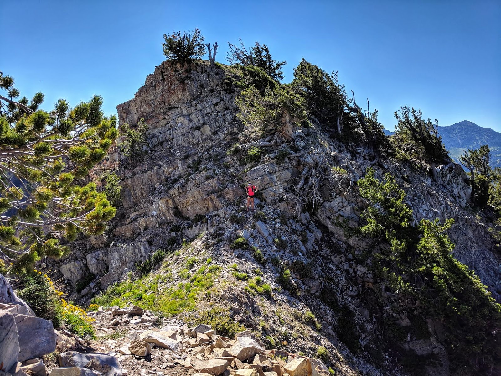 Hiking to Cascade Mountain, Hiking Hiking to Cascade Peak above Provo, Utah, Hiking the Wasatch 7 Peaks, Utah Peak Baggers, Wasatch Peak Baggers