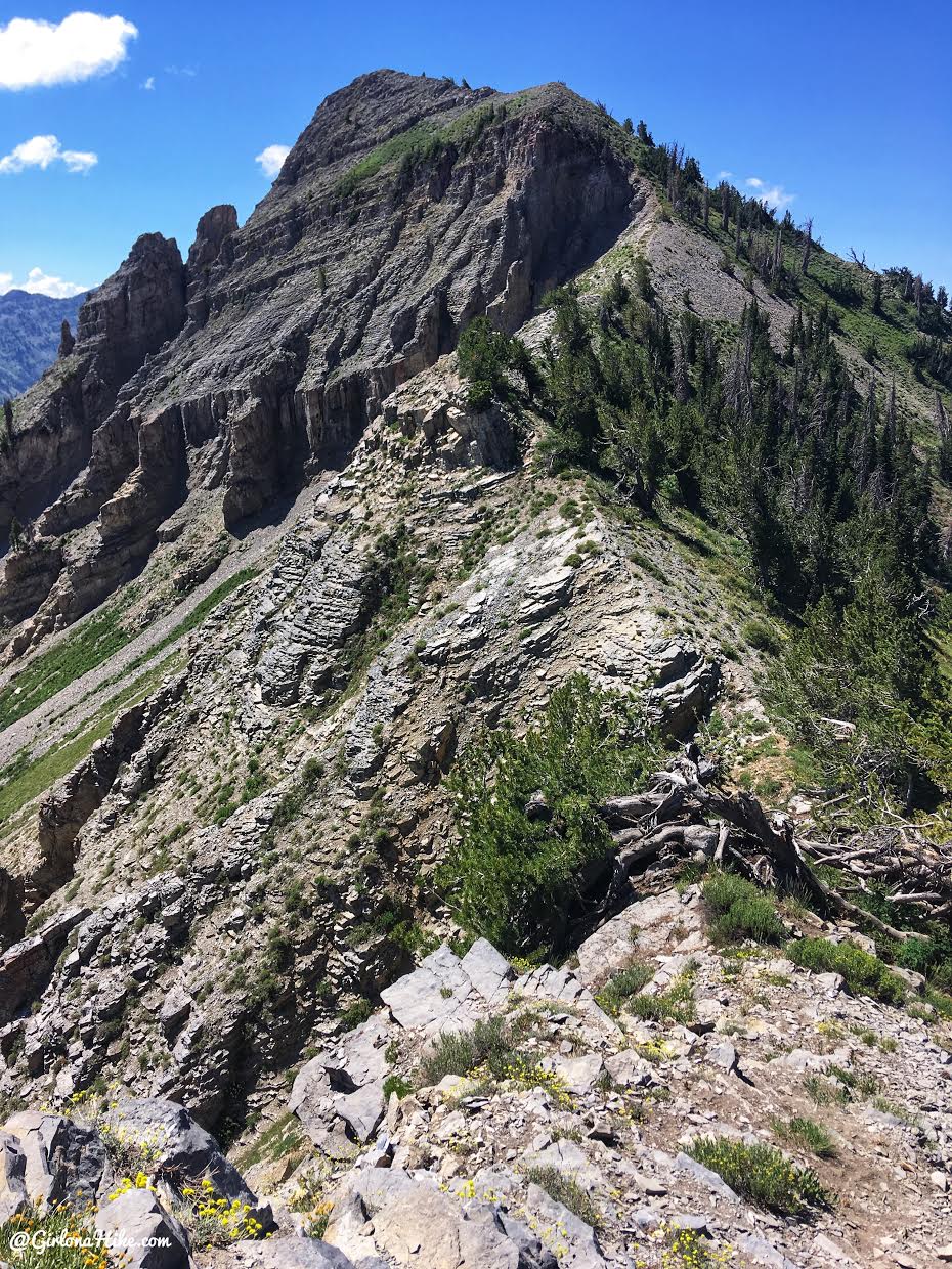 Hiking to Cascade Peak, Utah, Hiking the Wasatch 7 Peaks, Utah Peak Baggers, Wasatch Peak Baggers