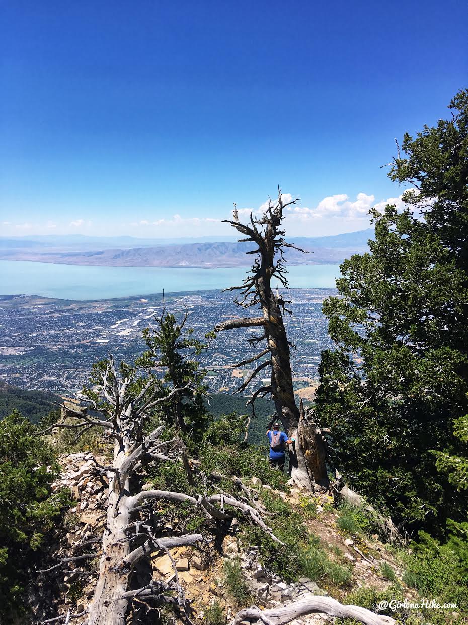 Hiking to Cascade Peak, Utah, Hiking the Wasatch 7 Peaks, Utah Peak Baggers, Wasatch Peak Baggers