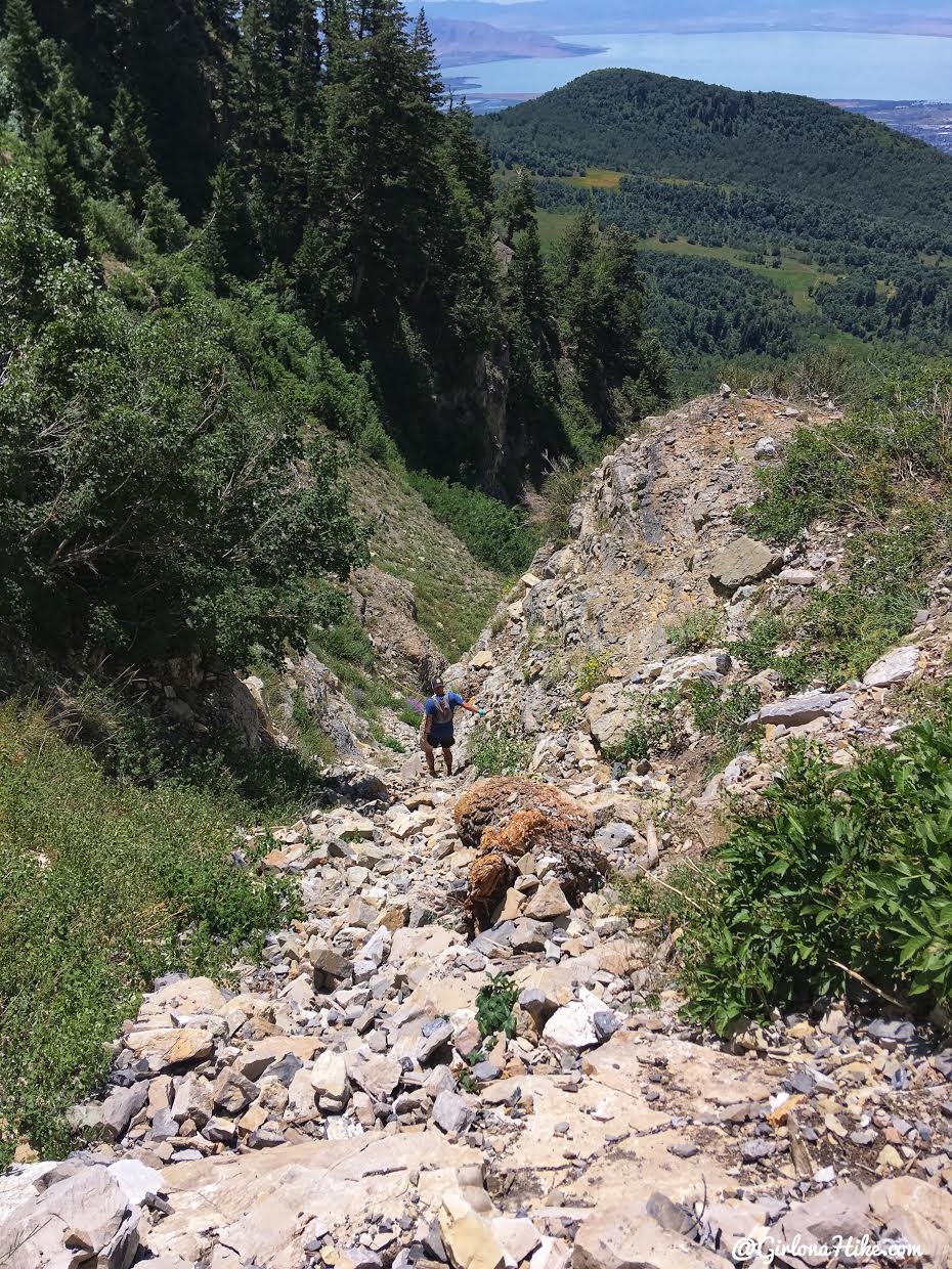 Hiking to Cascade Peak, Utah, Hiking the Wasatch 7 Peaks, Utah Peak Baggers, Wasatch Peak Baggers