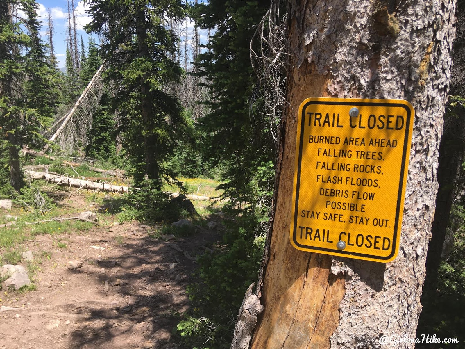 Backpacking the Shingle Creek Trail, Uintas