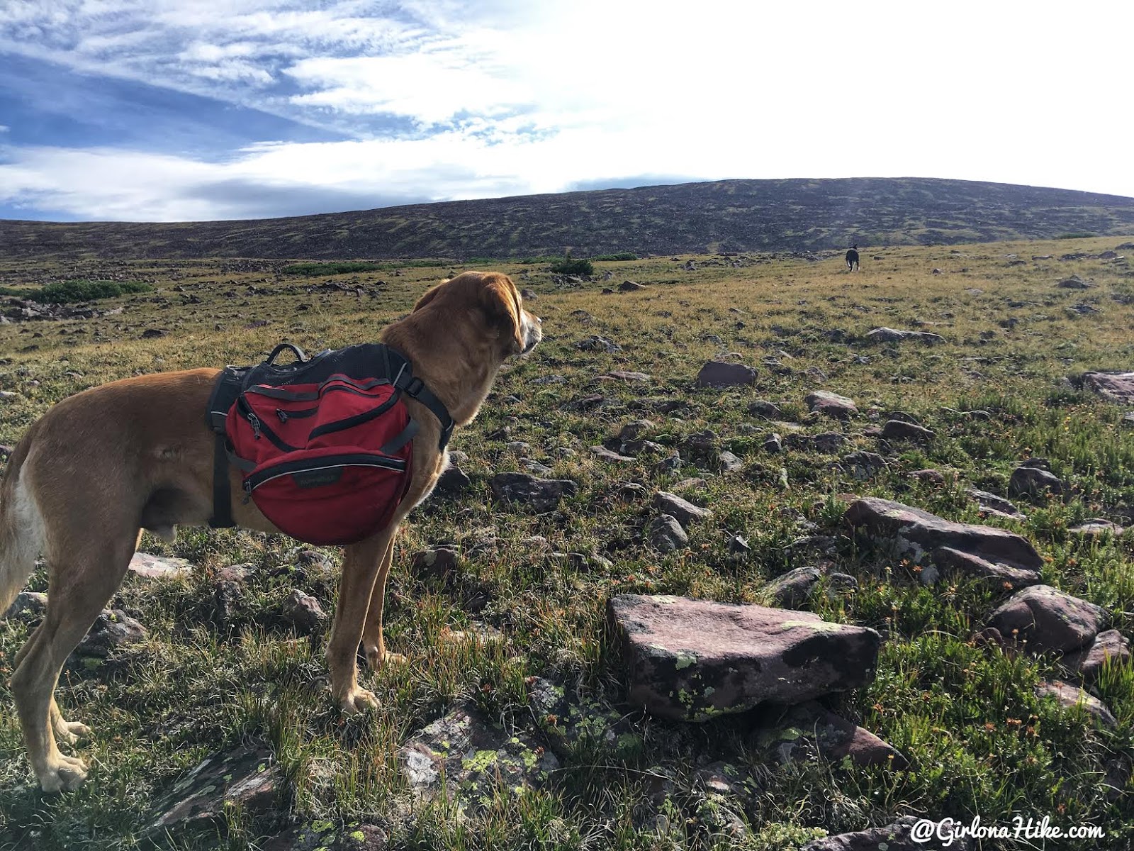 Hiking to Eccentric Benchmark, Uintah/Dagget County High Point