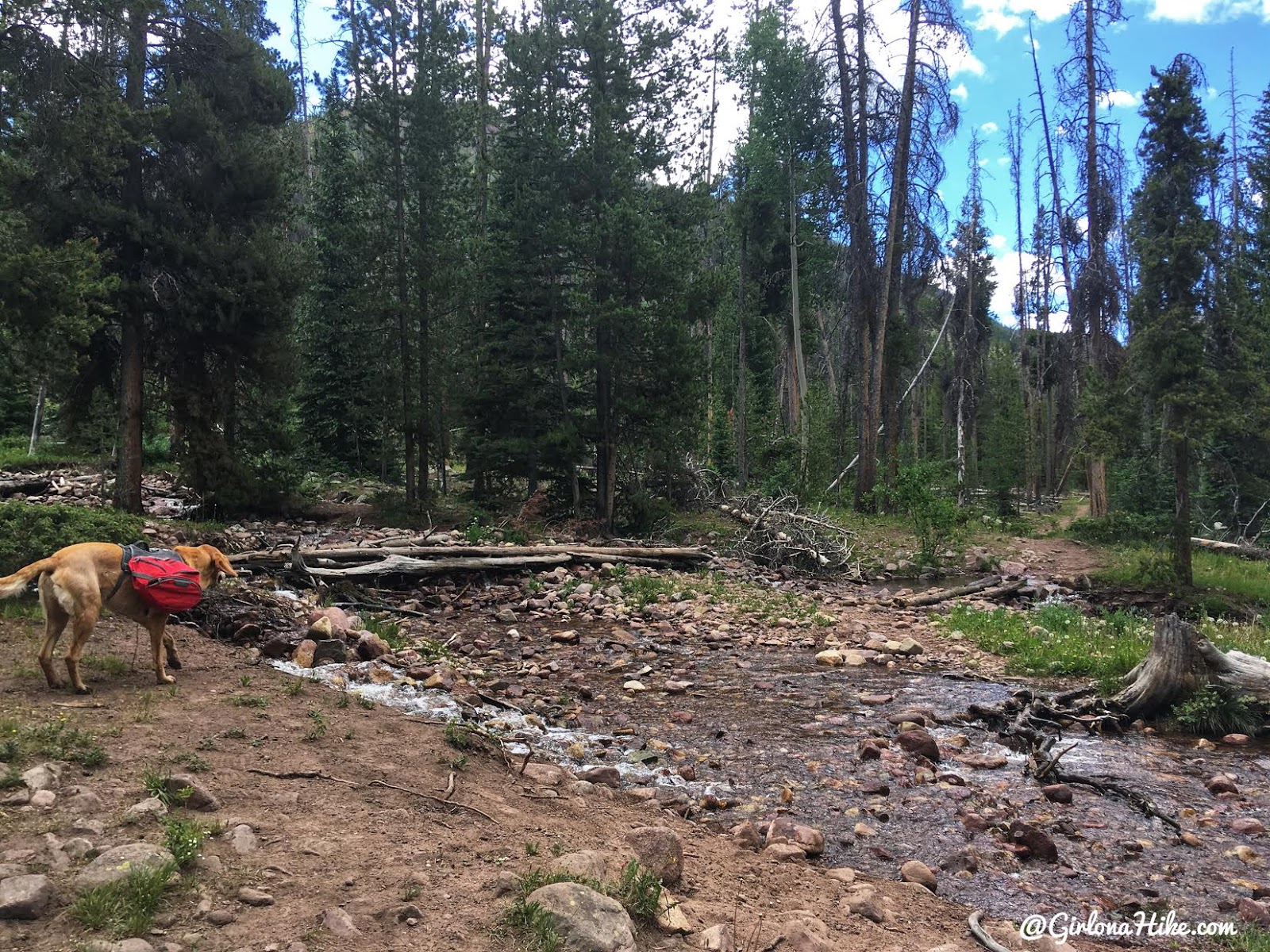 Backpacking to Kermsuh Lake, Uintas, Christmas Meadows