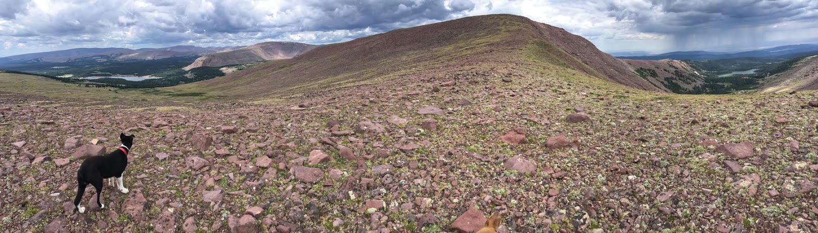 Hiking to Eccentric Benchmark, Uintah/Dagget County High Point