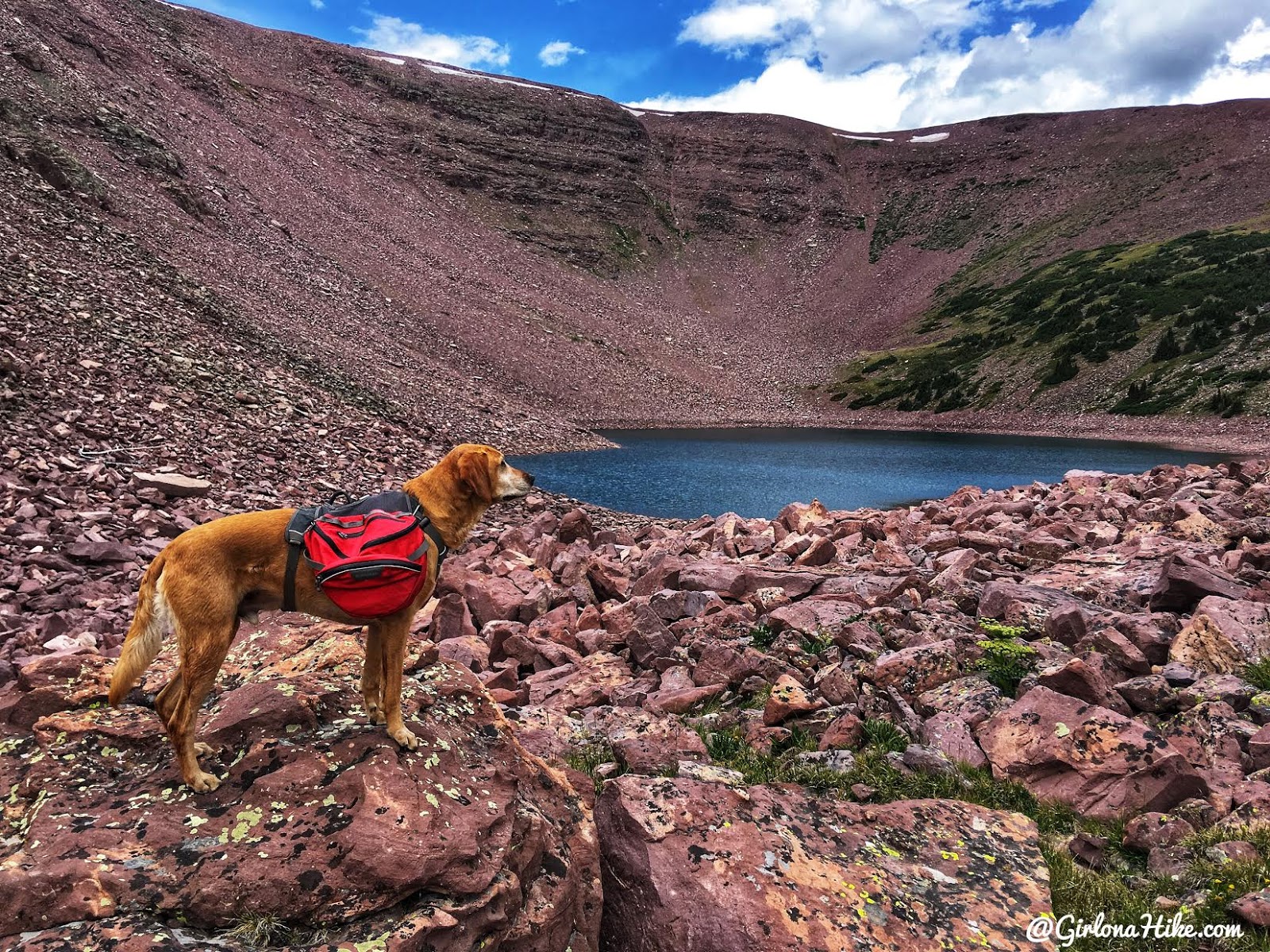 Hiking to Eccentric Benchmark, Uintah/Dagget County High Point