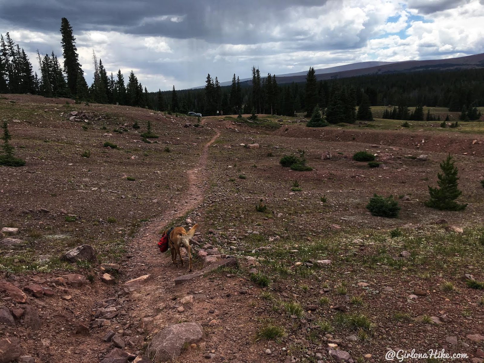 Hiking to Eccentric Benchmark, Uintah/Dagget County High Point