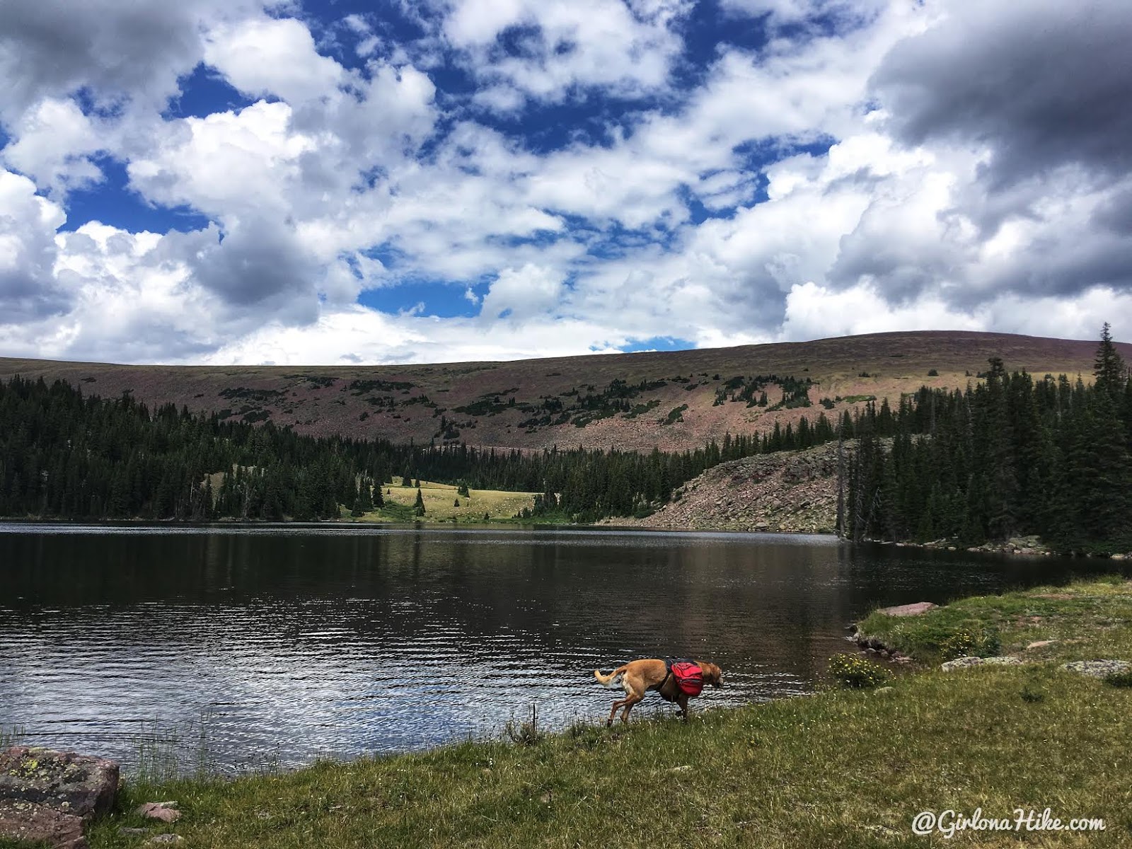 Hiking to Eccentric Benchmark, Uintah/Dagget County High Point