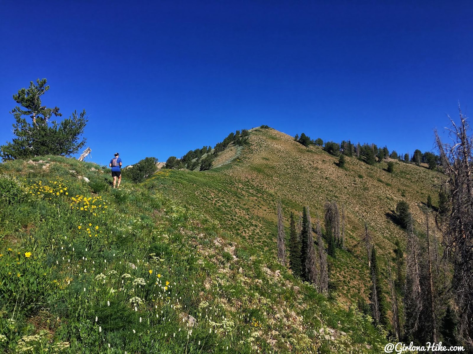 Hiking to Cascade Peak, Utah, Hiking the Wasatch 7 Peaks, Utah Peak Baggers, Wasatch Peak Baggers