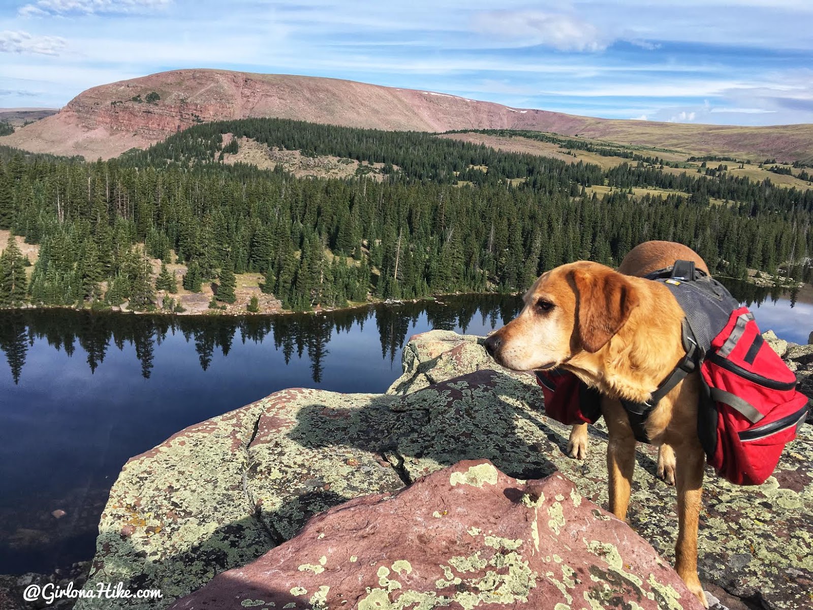 Hiking to Eccentric Benchmark, Uintah/Dagget County High Point