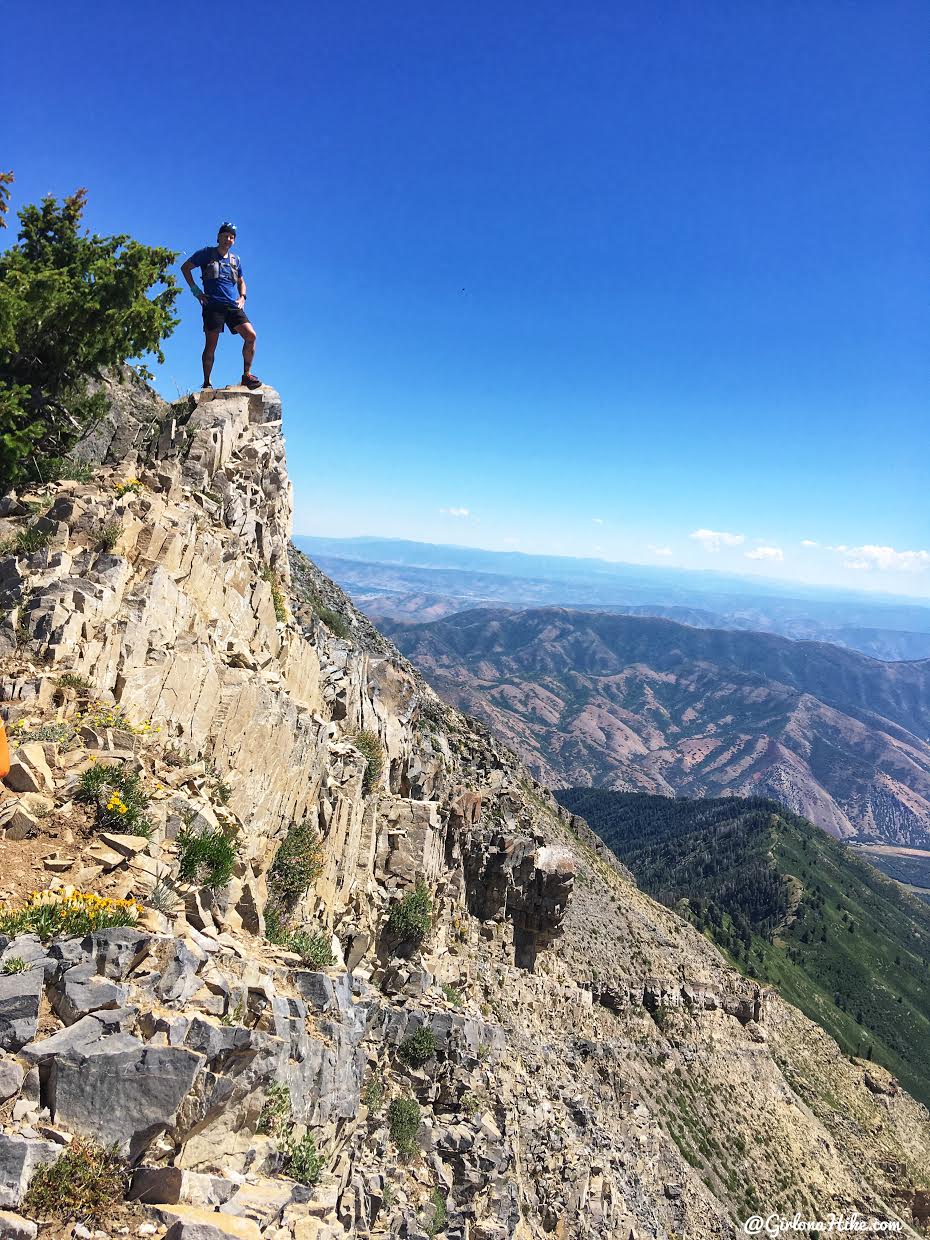 Hiking to Cascade Peak, Utah, Hiking the Wasatch 7 Peaks, Utah Peak Baggers, Wasatch Peak Baggers