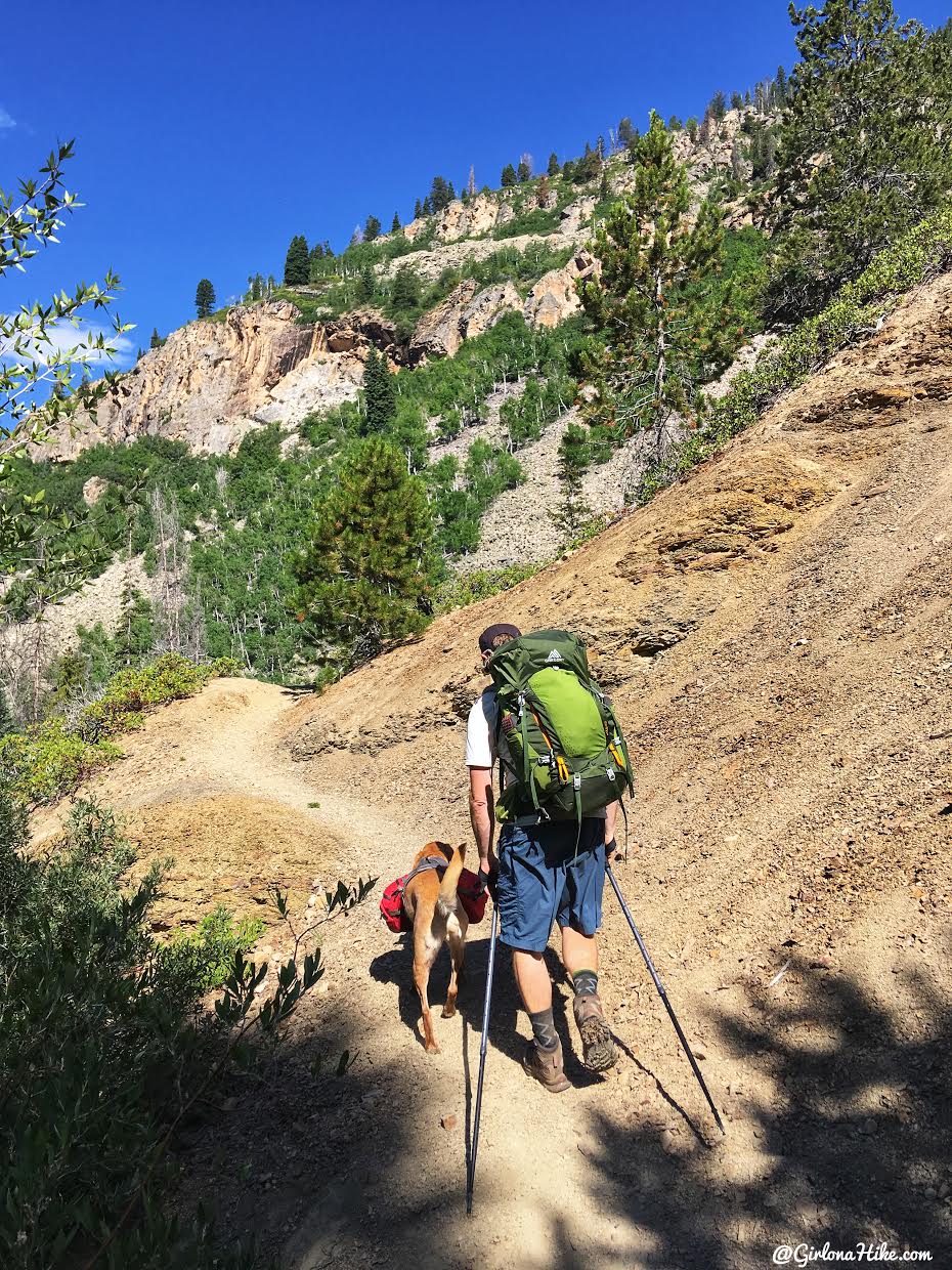 Backpacking the Shingle Creek Trail, Uintas