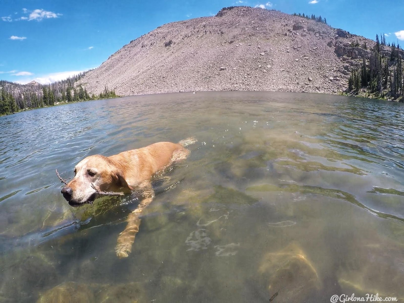 Backpacking the Shingle Creek Trail, Uintas, South Erickson Lake