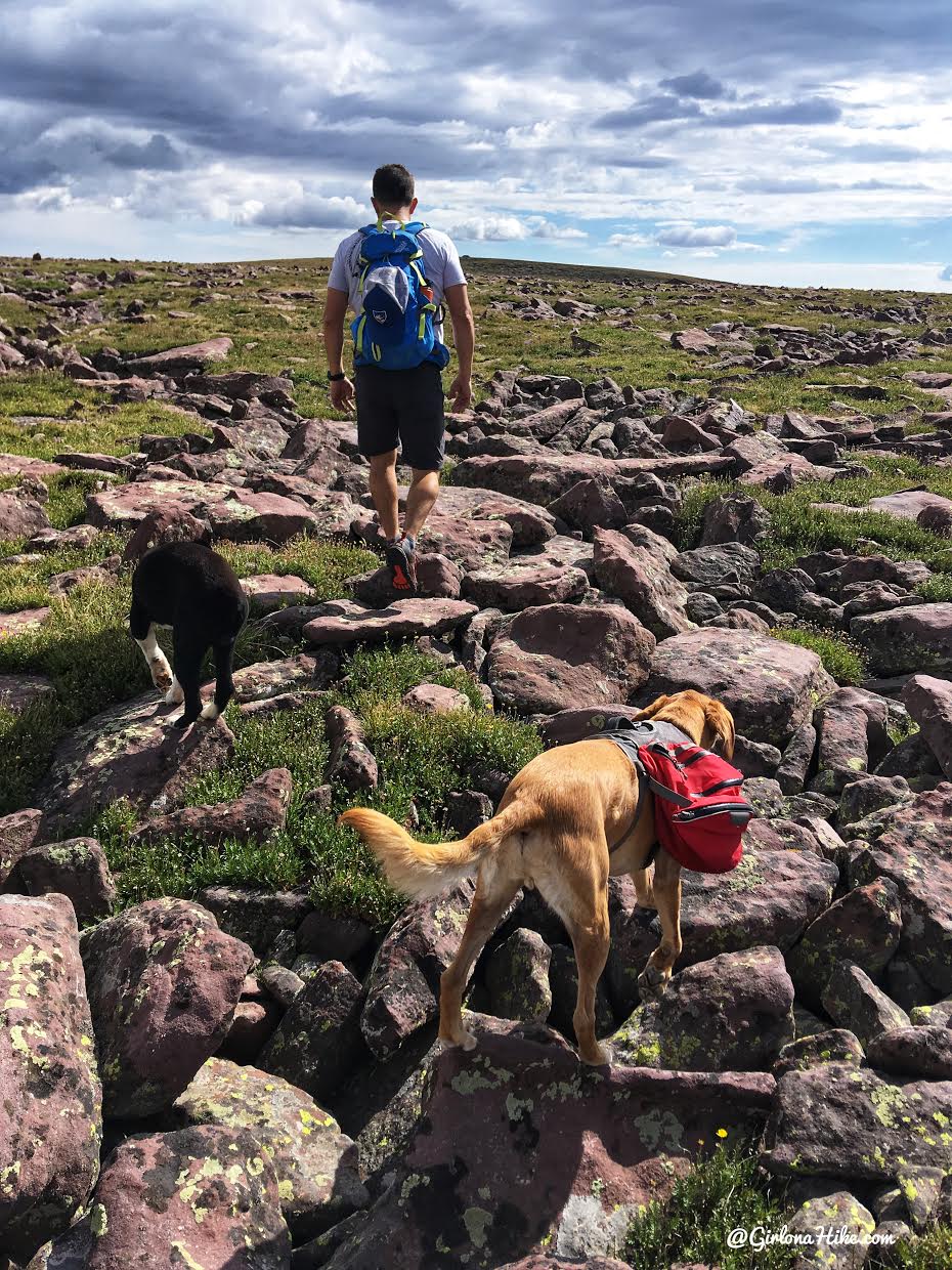 Hiking to Eccentric Benchmark, Uintah/Dagget County High Point