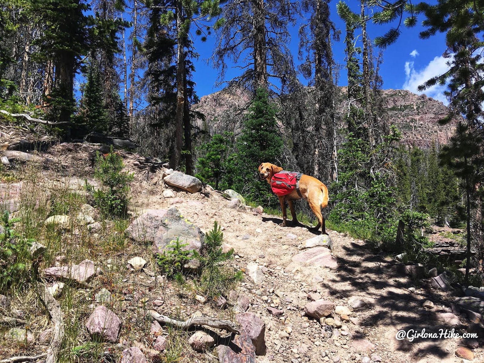 Backpacking to Kermsuh Lake, Uintas, Christmas Meadows