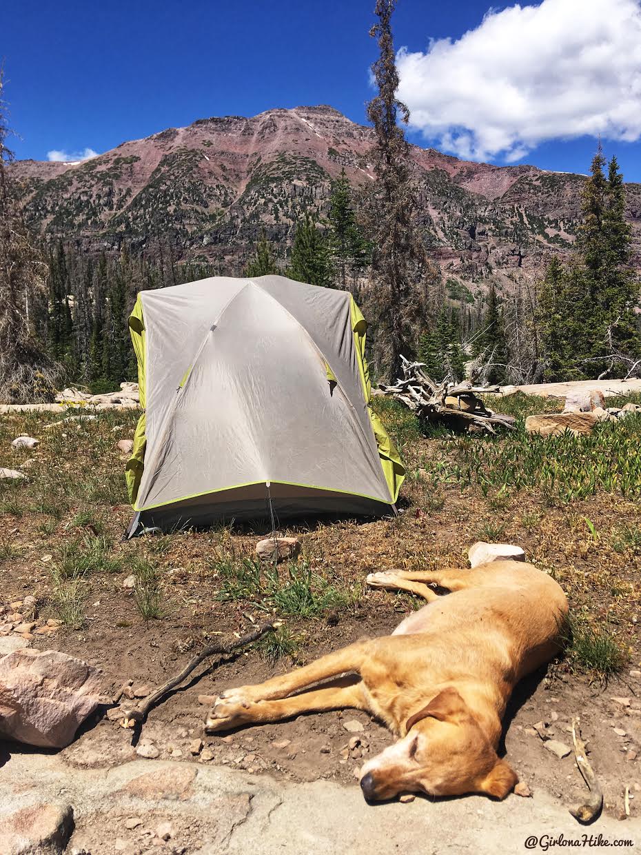 Backpacking to Kermsuh Lake, Uintas, Christmas Meadows