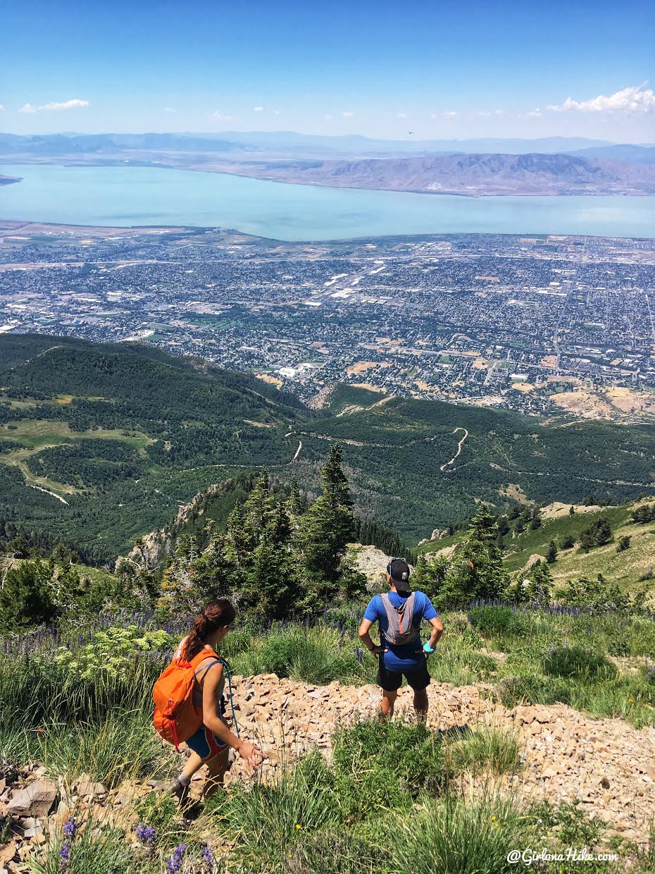 Hiking to Cascade Peak, Utah, Hiking the Wasatch 7 Peaks, Utah Peak Baggers, Wasatch Peak Baggers