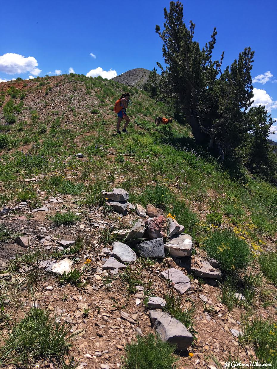 Hiking to Cascade Peak, Utah, Hiking the Wasatch 7 Peaks, Utah Peak Baggers, Wasatch Peak Baggers