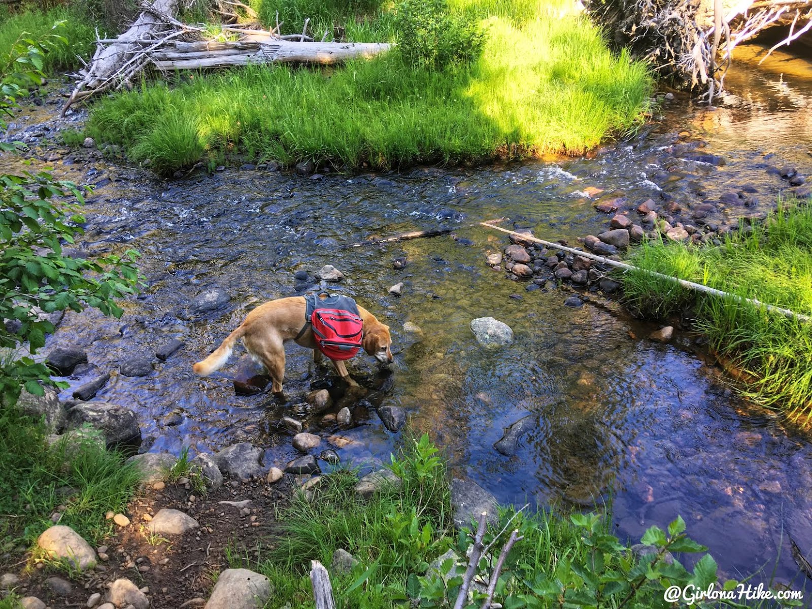 Backpacking the Shingle Creek Trail, Uintas