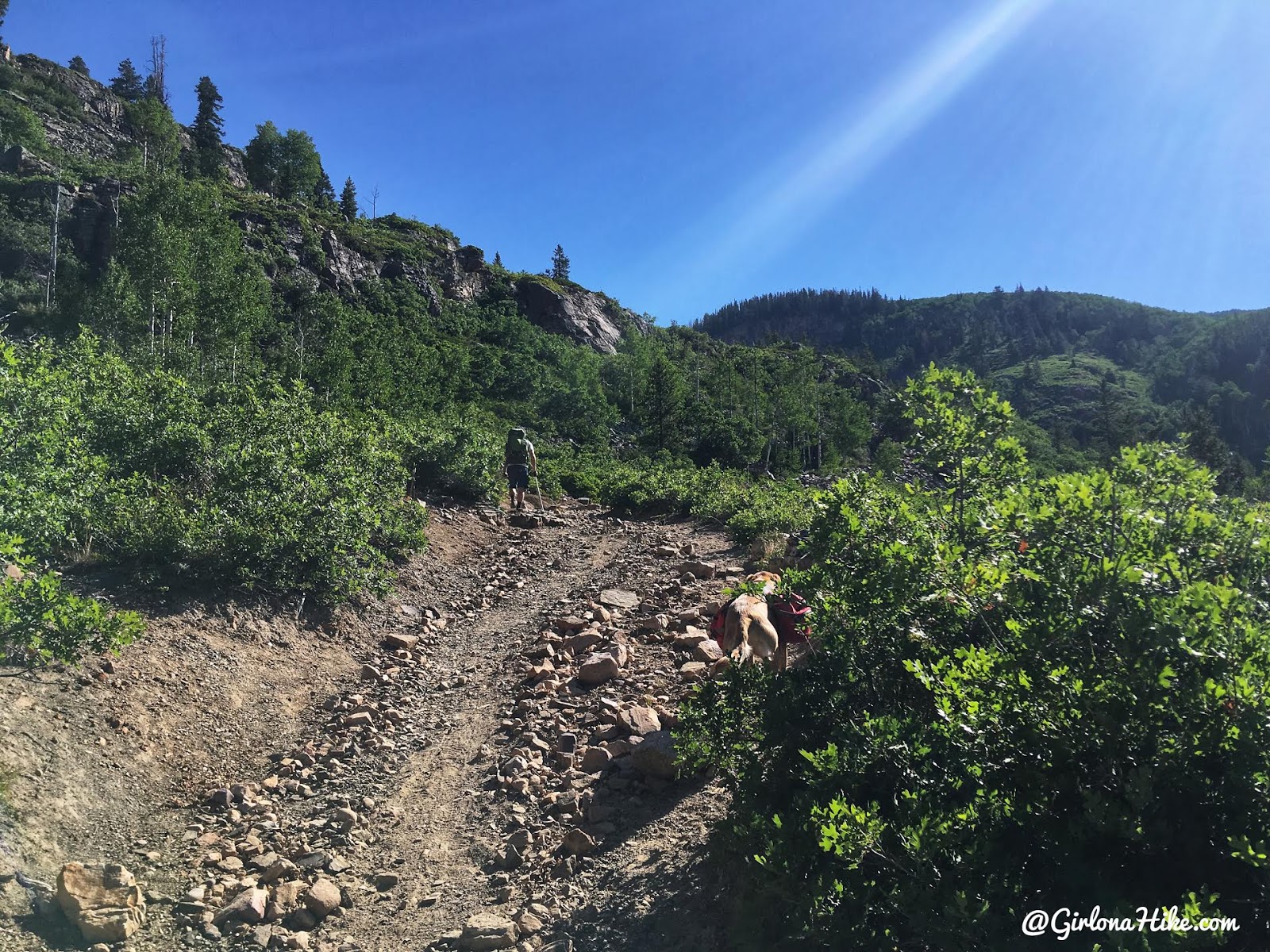 Backpacking the Shingle Creek Trail, Uintas