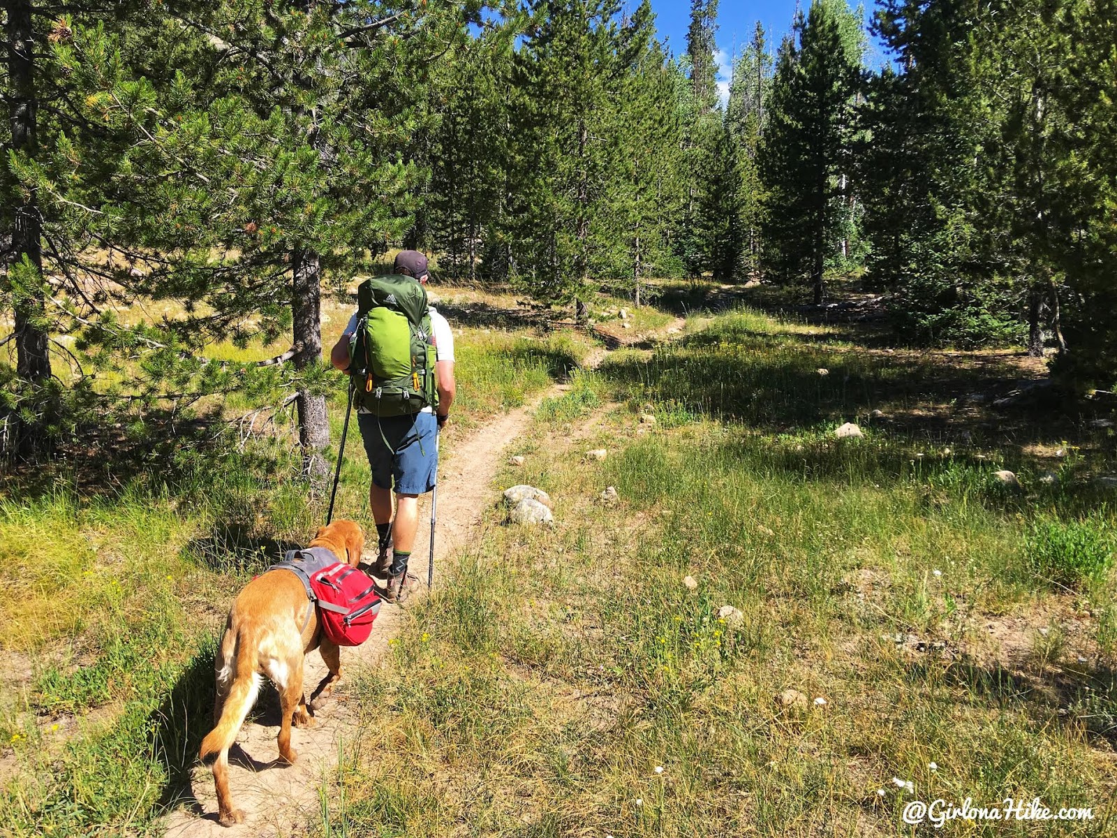 Backpacking the Shingle Creek Trail, Uintas