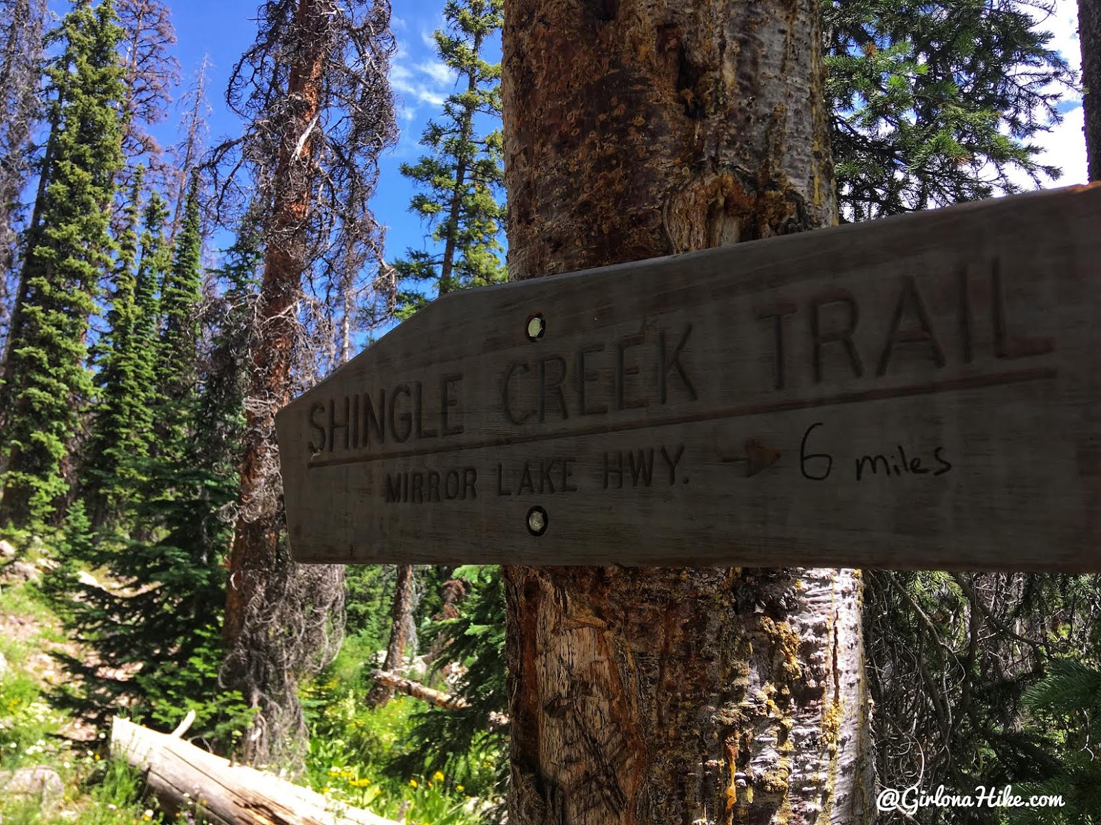 Backpacking the Shingle Creek Trail, Uintas