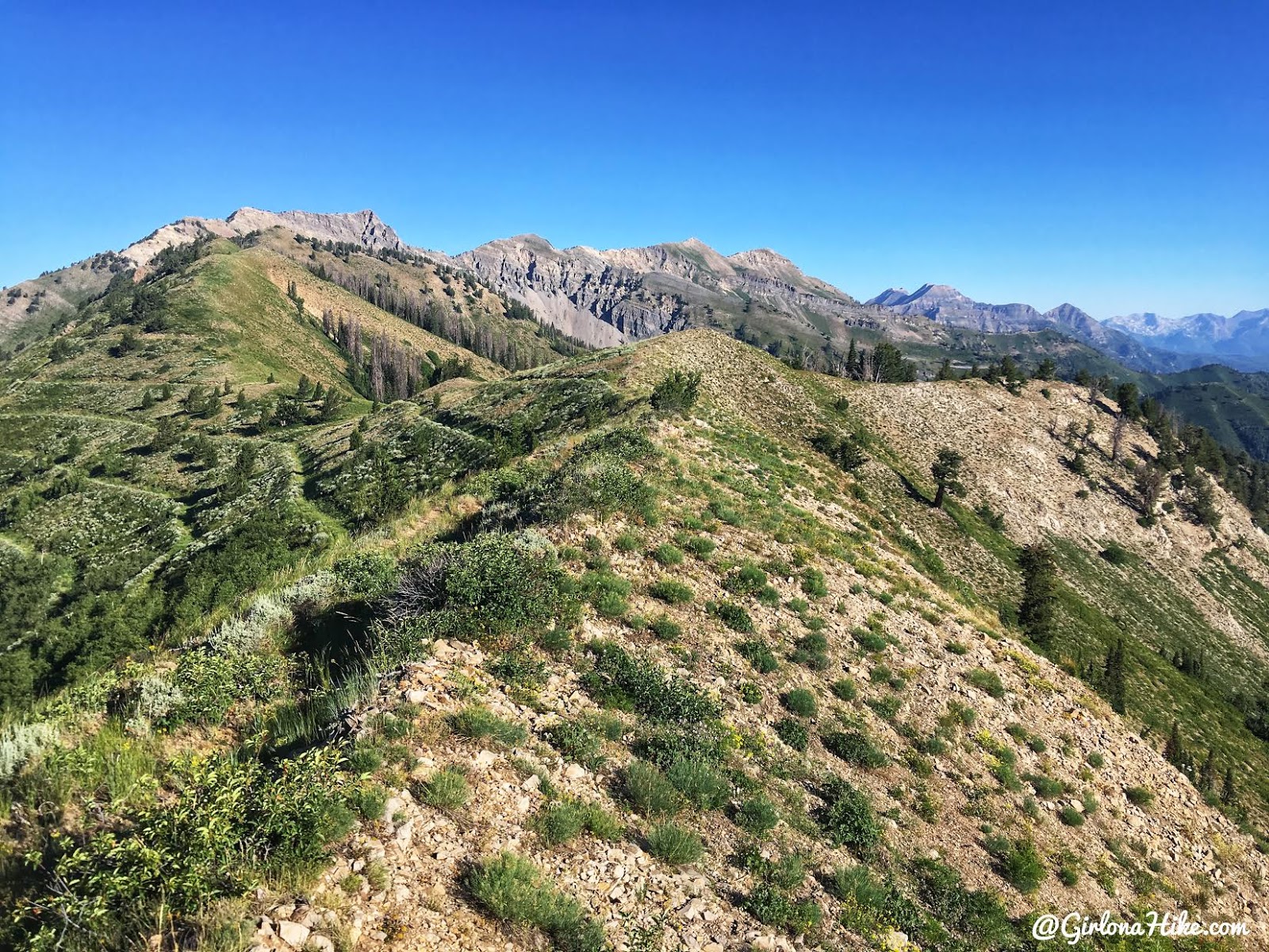 Hiking to Cascade Peak, Utah, Hiking the Wasatch 7 Peaks, Utah Peak Baggers, Wasatch Peak Baggers