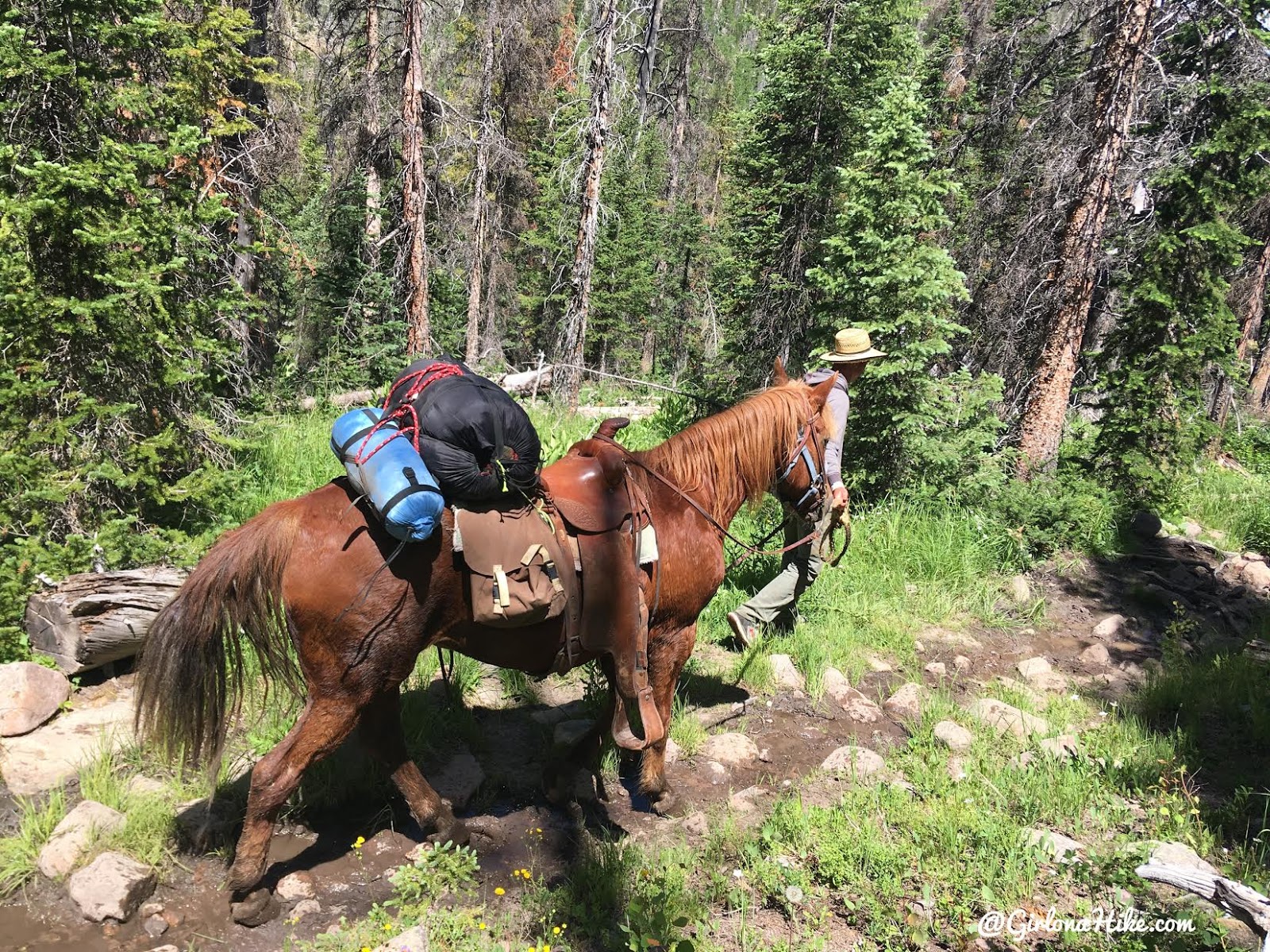 Backpacking to Kermsuh Lake, Uintas, Christmas Meadows