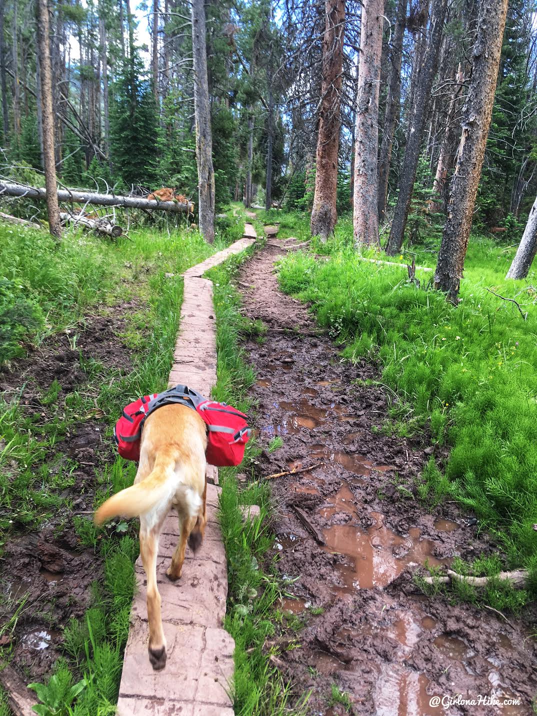 Backpacking to Kermsuh Lake, Uintas, Christmas Meadows