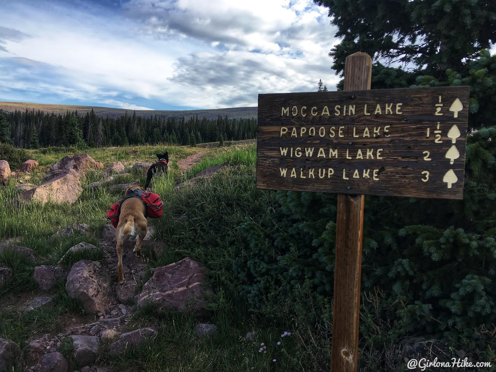 Hiking to Eccentric Benchmark, Uintah/Dagget County High Point