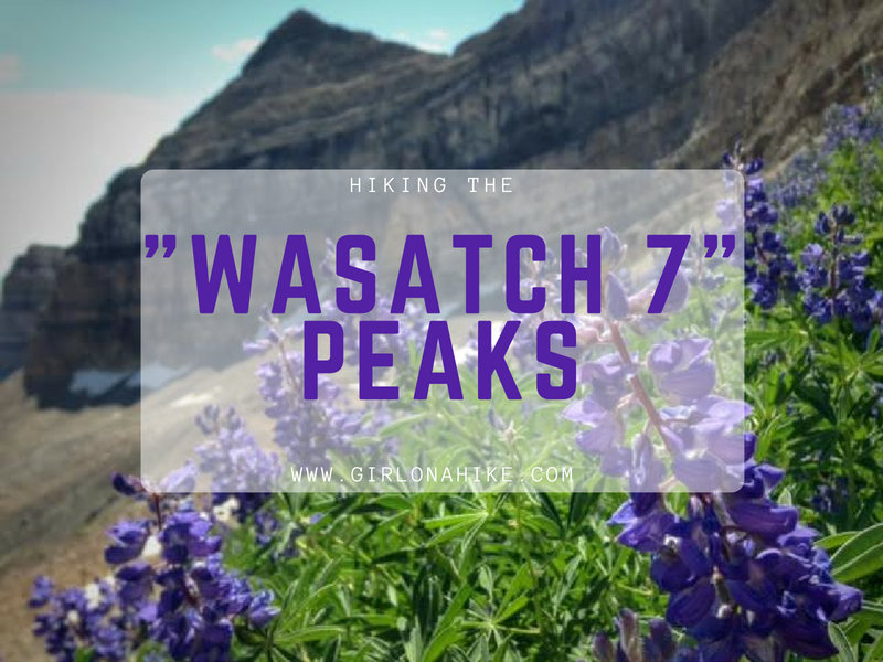 Hiking the "Wasatch 7" Peaks