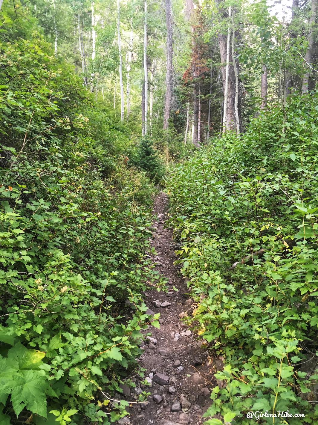 Backpacking to Round, Sand, & Fish Lakes, Uintas