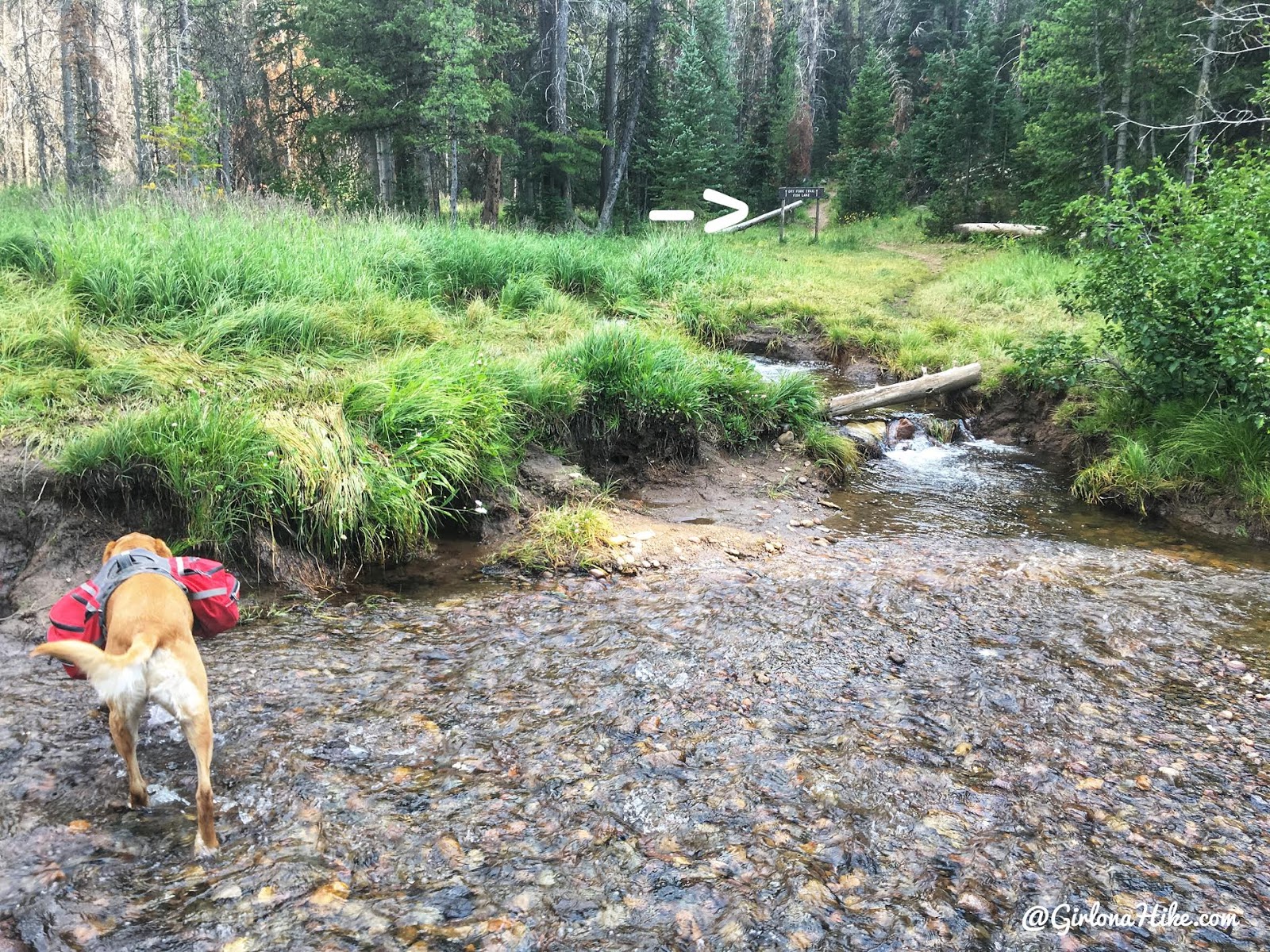 Backpacking to Round, Sand, & Fish Lakes, Uintas