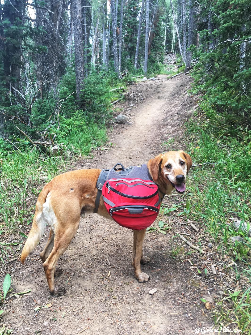 Backpacking to Round, Sand, & Fish Lakes, Uintas