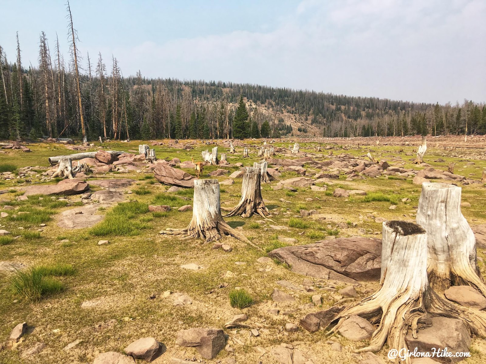 Backpacking to Round, Sand, & Fish Lakes, Uintas