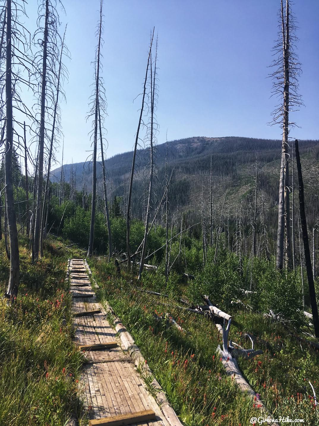 Backpacking to Allsop Lake, Uintas